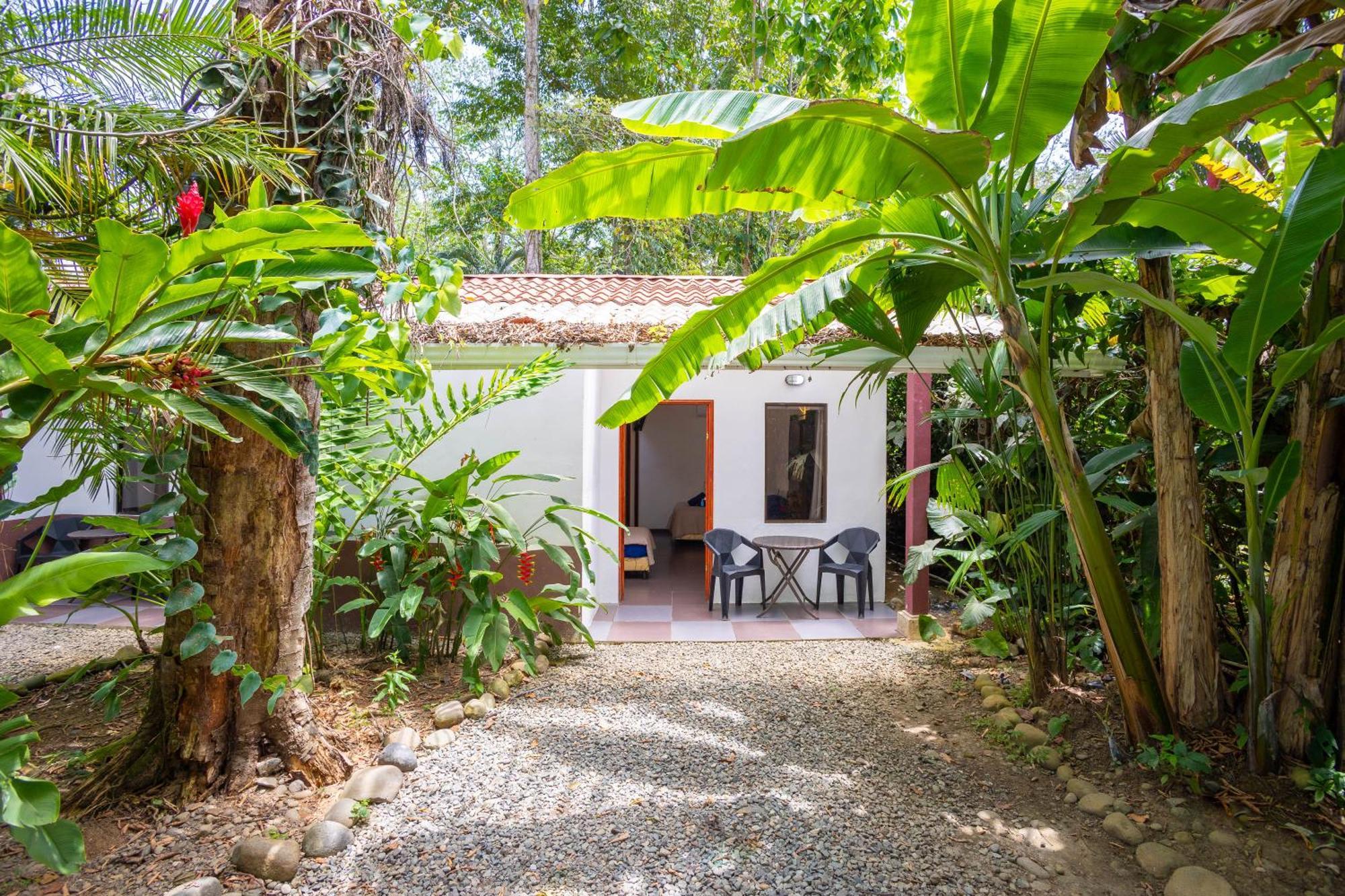 Bambutel Cocles Hotell Puerto Viejo de Talamanca Exteriör bild